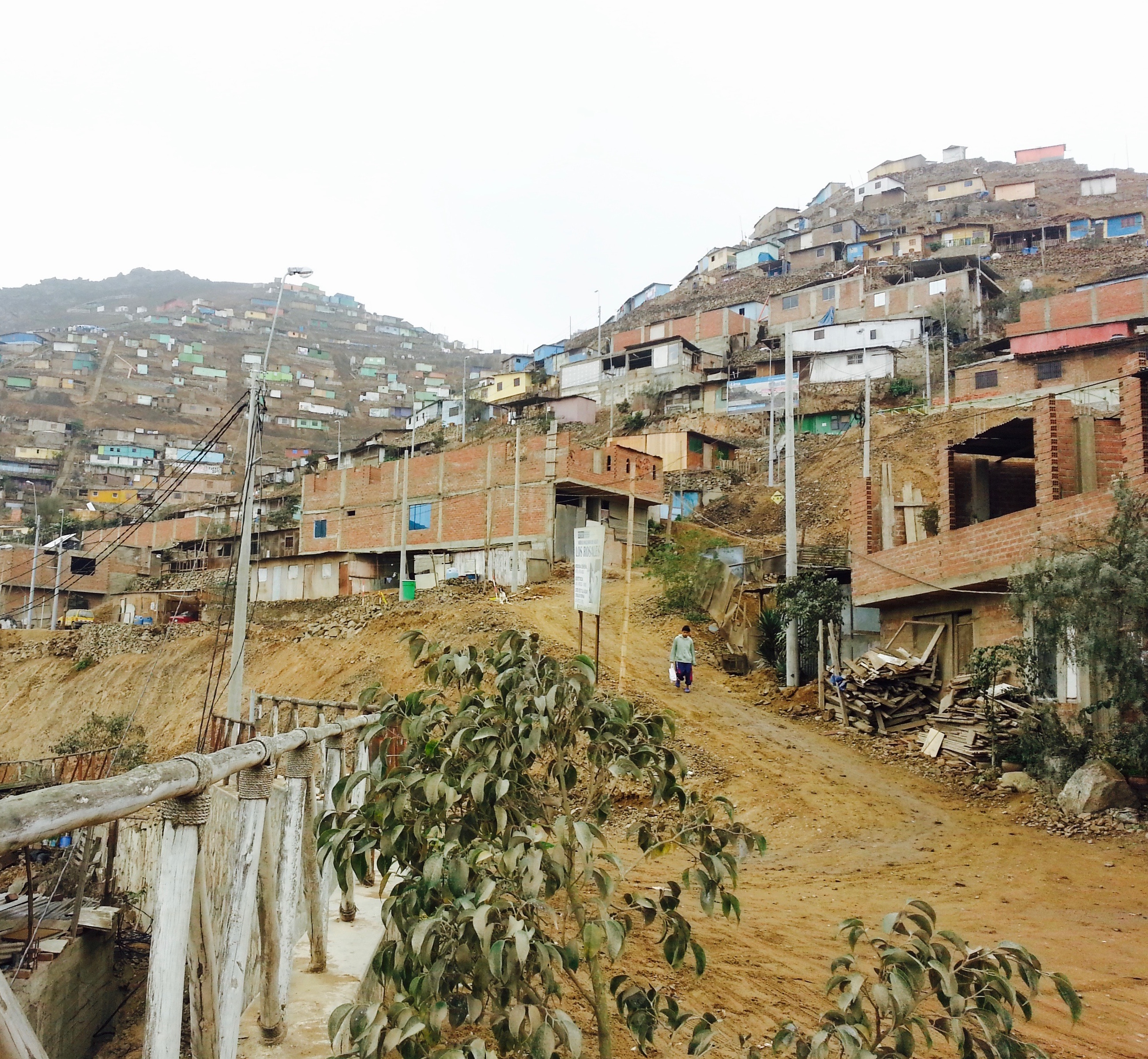 Neighborhood in Lima